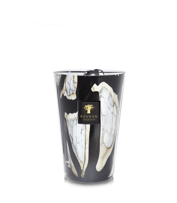 Baobab - Stones Marble