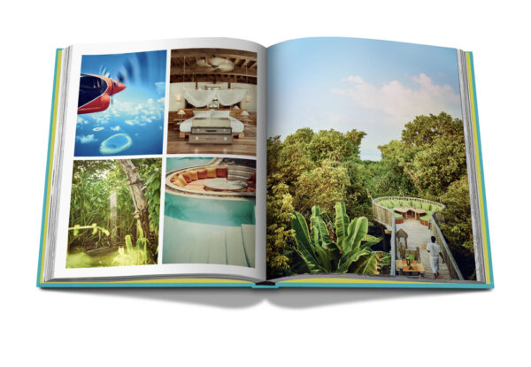 Assouline - Chique Stays