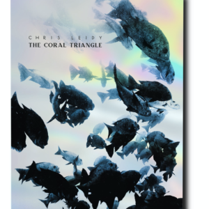 Assouline - The Coral triangle