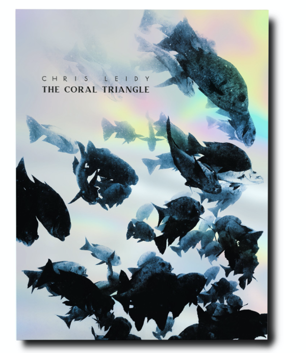 Assouline - The Coral triangle