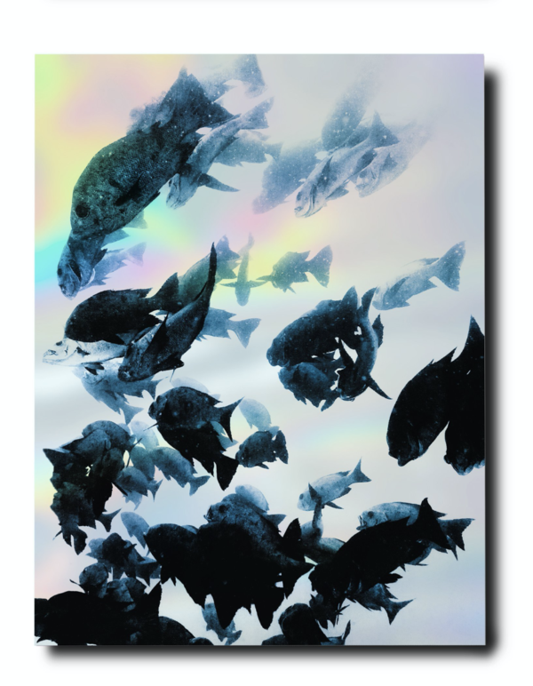 Assouline - Frida Kahlo