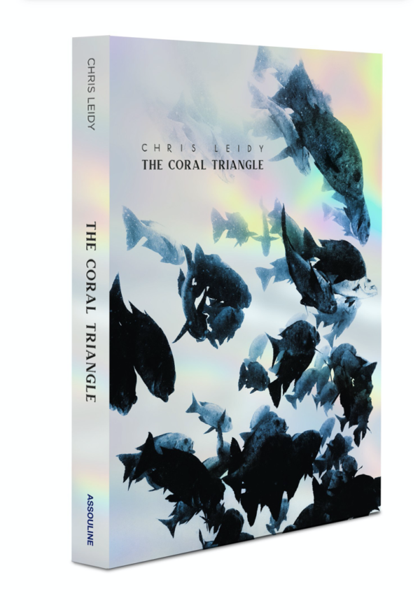 Assouline - The Coral triangle