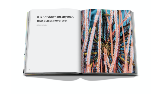 Assouline - Frida Kahlo