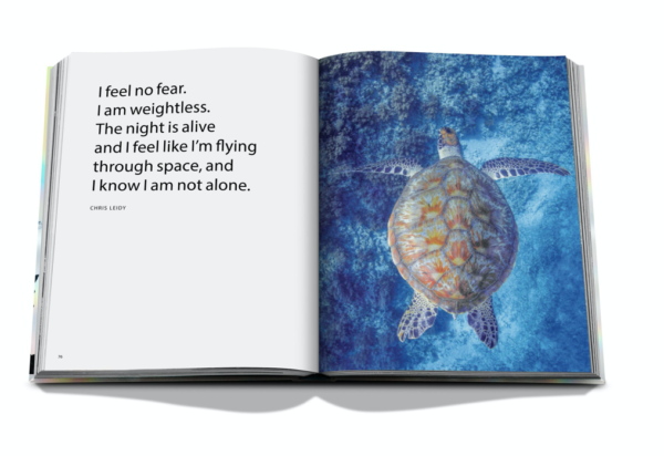 Assouline - The Coral triangle