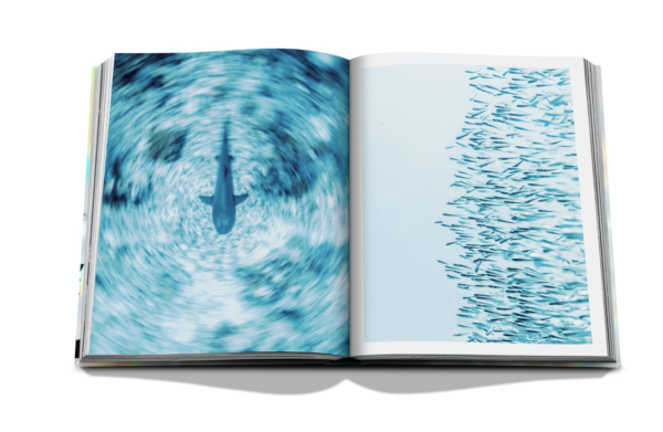 Assouline - The Coral triangle