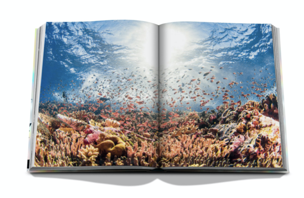 Assouline - The Coral triangle