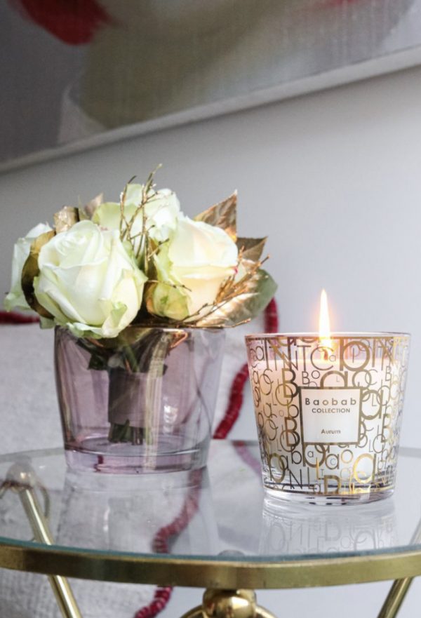 My First Baobab -  Paris