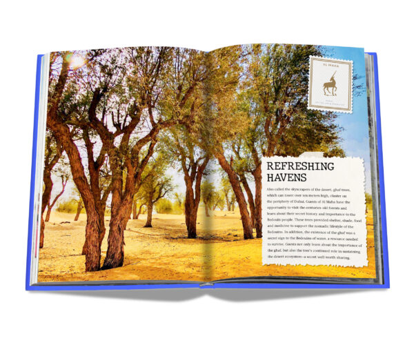 Assouline - Hotel Secrets