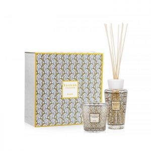 My First Baobab -  Brussels Gift Box