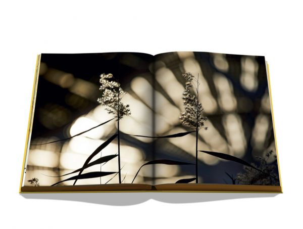 Assouline - Expo 2020 Dubai: Catalog-Site, Themes, Architecture