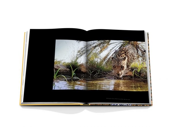 Assouline - Arabian Leopard