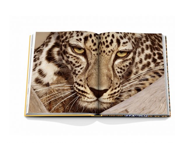 Assouline - Arabian Leopard