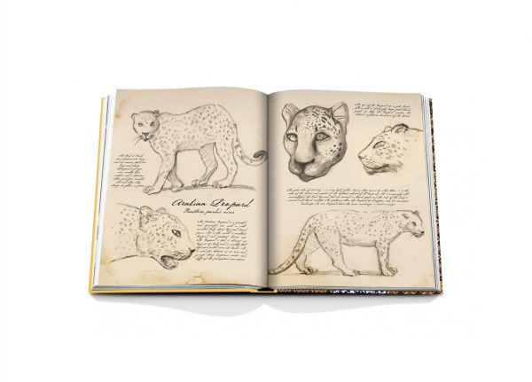 Assouline - Arabian Leopard