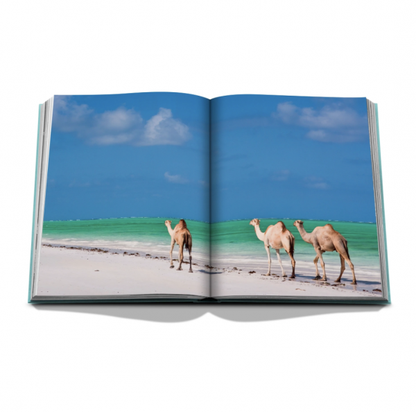 Assouline - Red Sea: The Saudi Coast