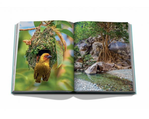 Assouline - Red Sea: The Saudi Coast