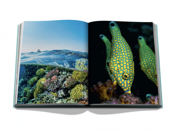 Assouline - Red Sea: The Saudi Coast