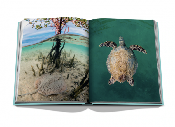 Assouline - Red Sea: The Saudi Coast
