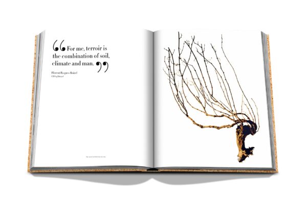 Assouline - The Impossible Collection of Champagne