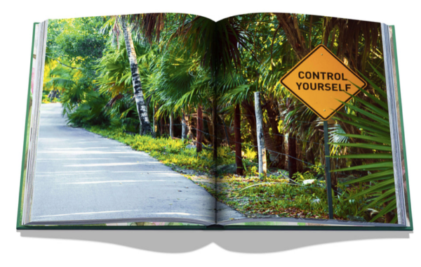 Assouline - Tulum Gypset