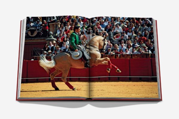 Assouline - Sevilla Arte