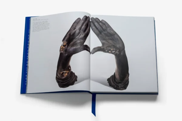 Assouline - The Book of HOV: A Tribute to Jay-Z (Ultimate)