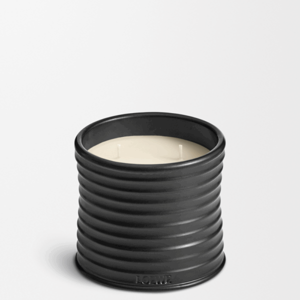 LOEWE - Palo Santo Candle