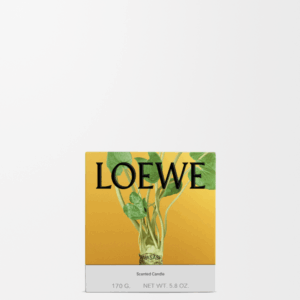 LOEWE - Wasabi Candle