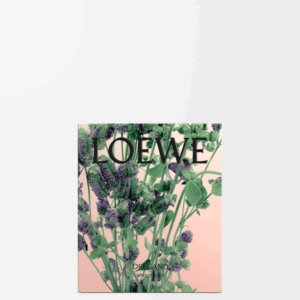 LOEWE - Oregano Soap Bar Duo Set