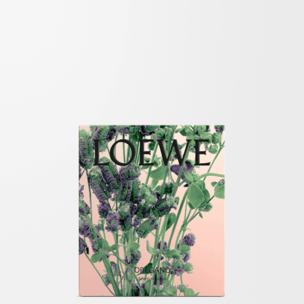LOEWE - Oregano Soap Bar Duo Set