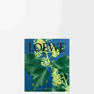 LOEWE - Ivy Soap Bar Duo Set
